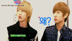 KpopWaveHitMeHard