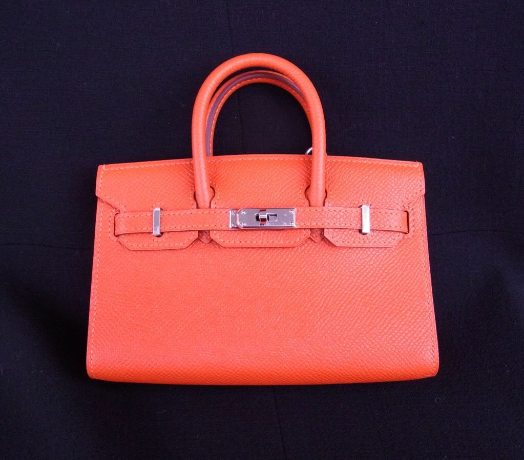 hermes plastic bag