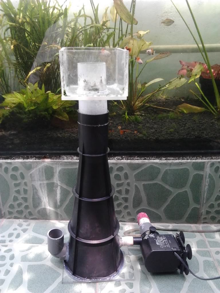 2011-09-17125708.jpg