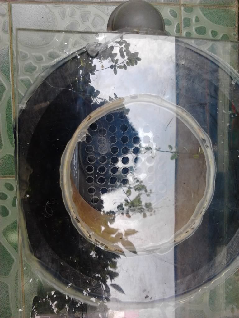 2011-09-17125839.jpg