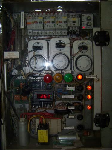 Panel.jpg