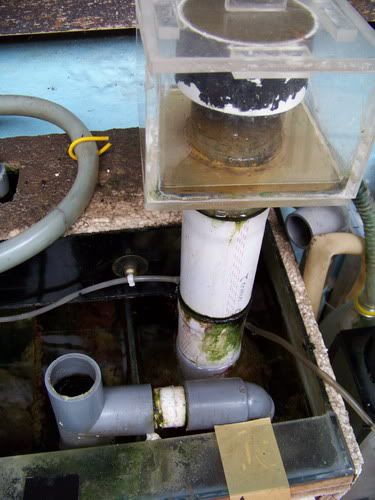 Skimmer1.jpg