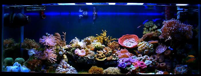fts.jpg