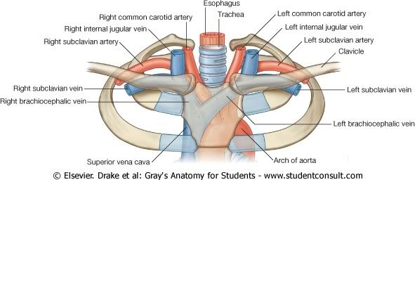 OrigenComndelasCartidas.jpg picture by Neonato2009