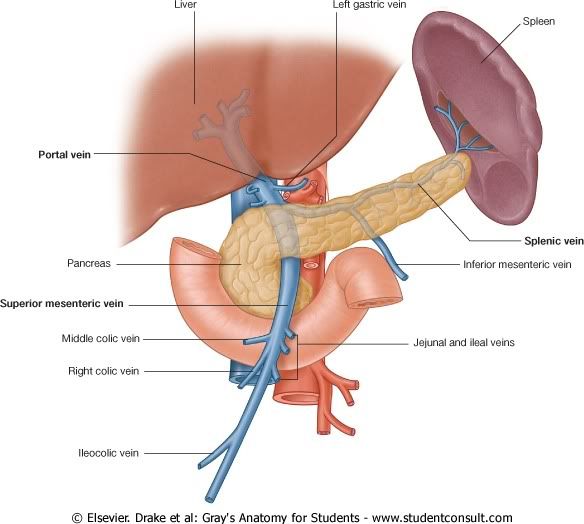 IrrigacionAbdomen10.jpg picture by Neonato2009