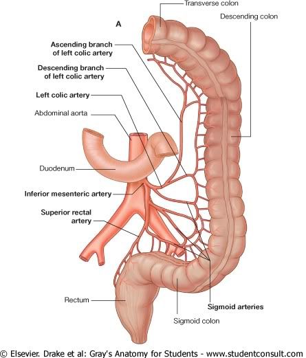 IrrigacionAbdomen9.jpg picture by Neonato2009