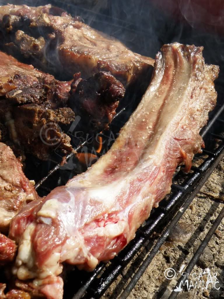 gratar,coaste de porc,rteta