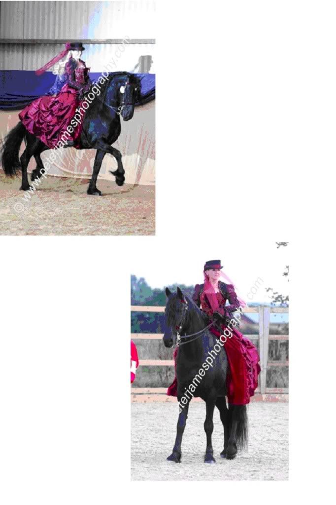 Concours D'Elegance Outfits Horse Gossip