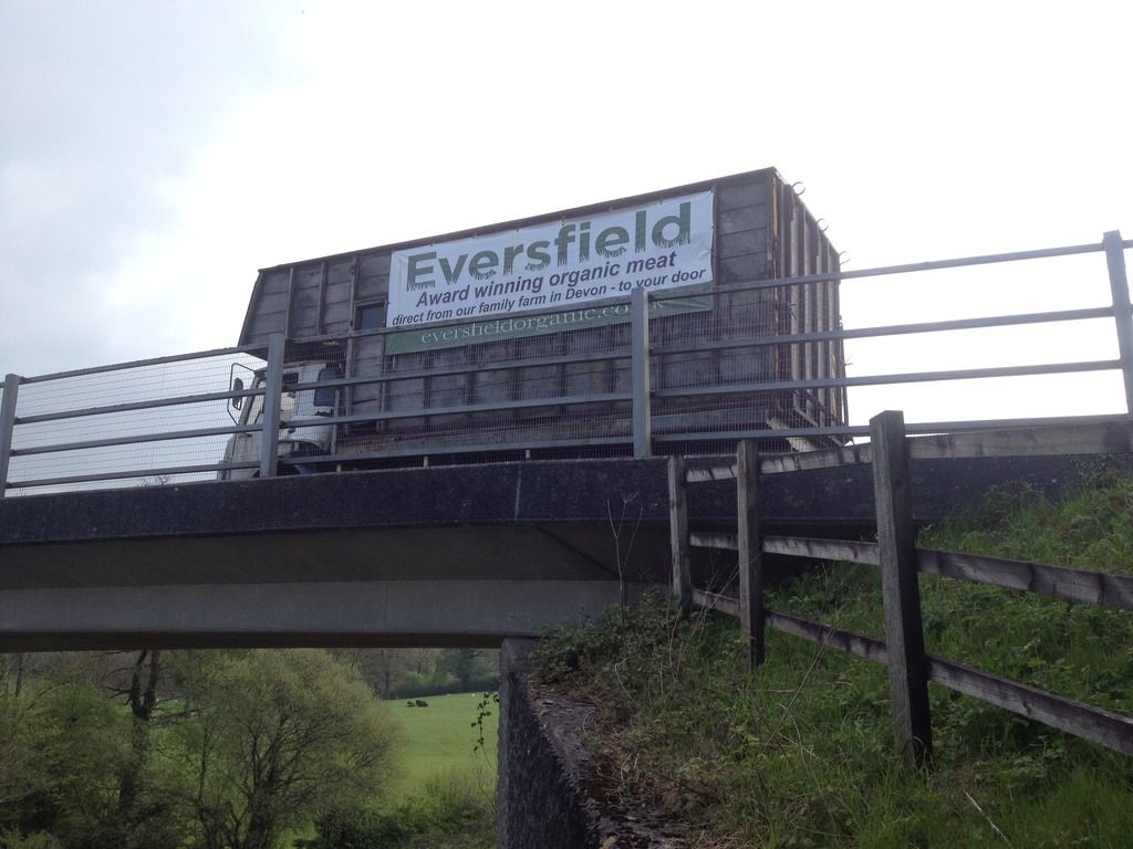 EB52F2D8-0528-4936-8438-DA00F5E20003_zps