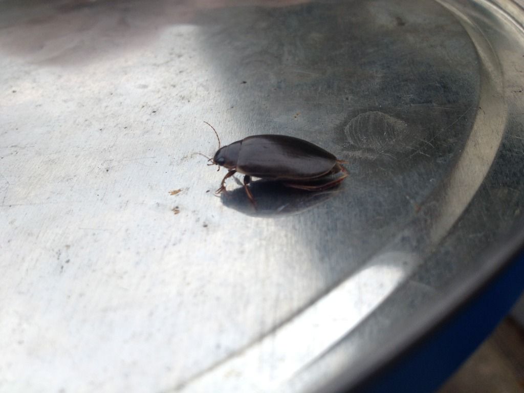 DF4ACAC0-4EBC-4D2E-B876-49CD3F08271B_zps