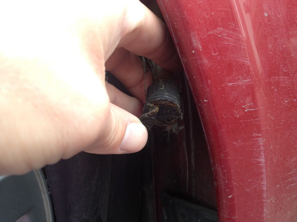 FC6C4272-2C64-4826-B72B-F00EA46DC522_zps