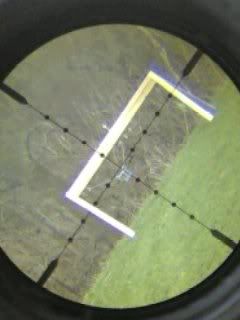 24xZoomedIn.jpg