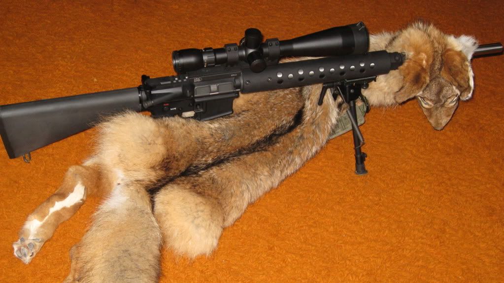 TannedCoyotewithRifle002.jpg