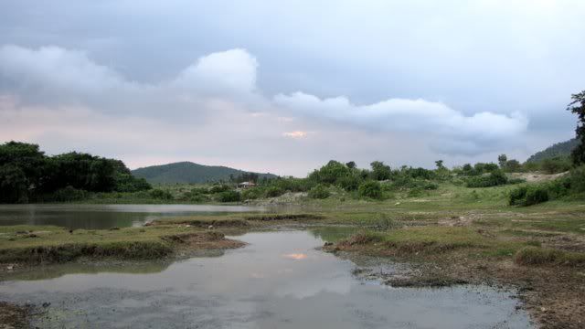 bandipur scenery 220910