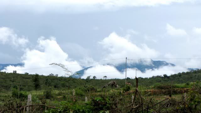 bandipur scenery 1