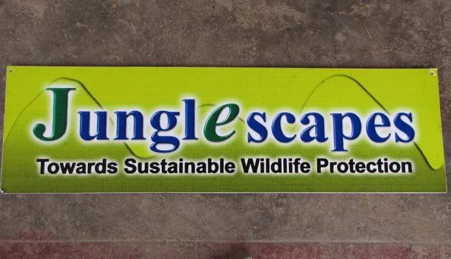 junglescapes sign