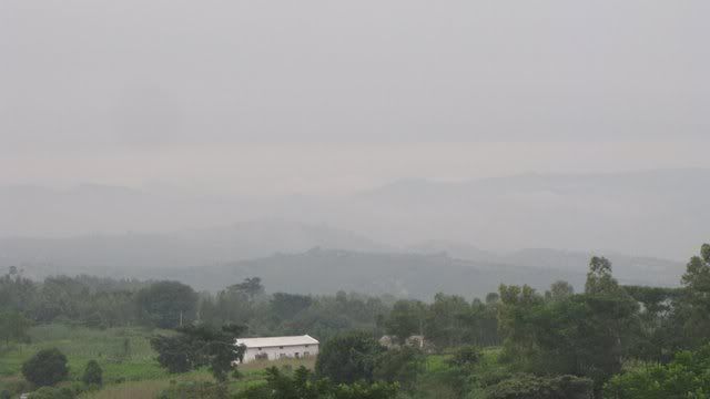mist in the hills 311010