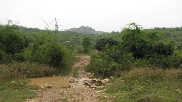 stream quarry 071110