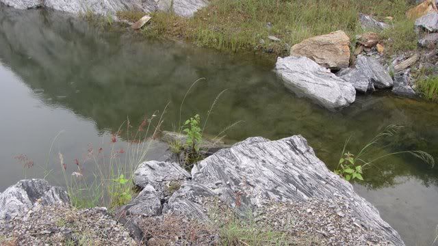 rock pool 071110