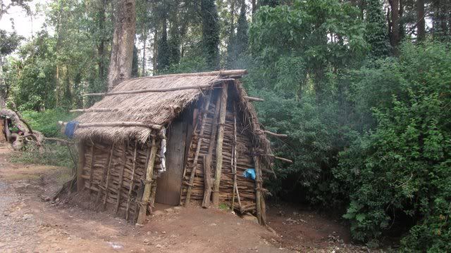 traditional Soliga house