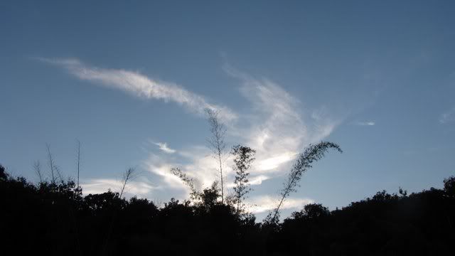 cirrus clouds 211110