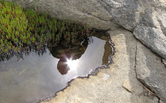 mbk reflection rock pool