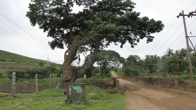 nugu dam road 210710