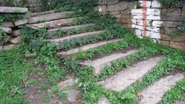 steps from kalyANi 310710