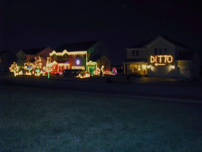 DittoLights.jpg