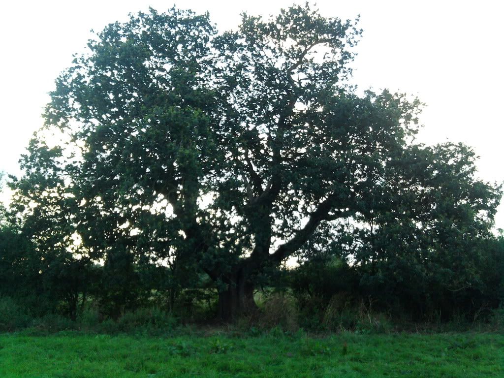 030.jpg