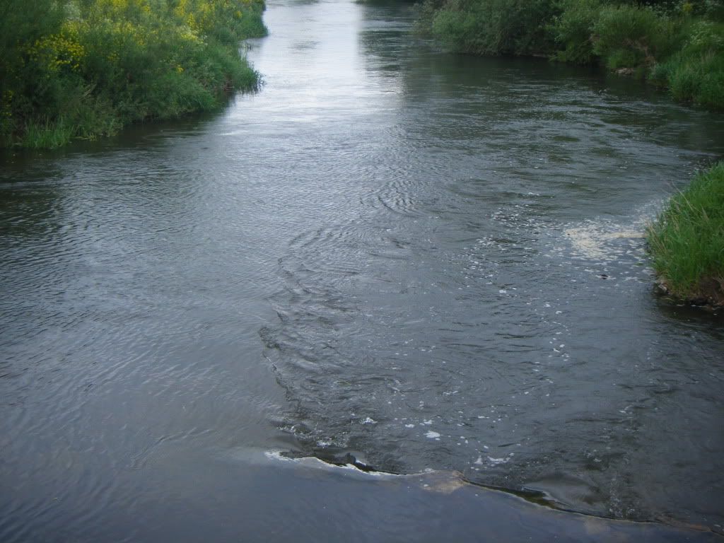 b6.jpg