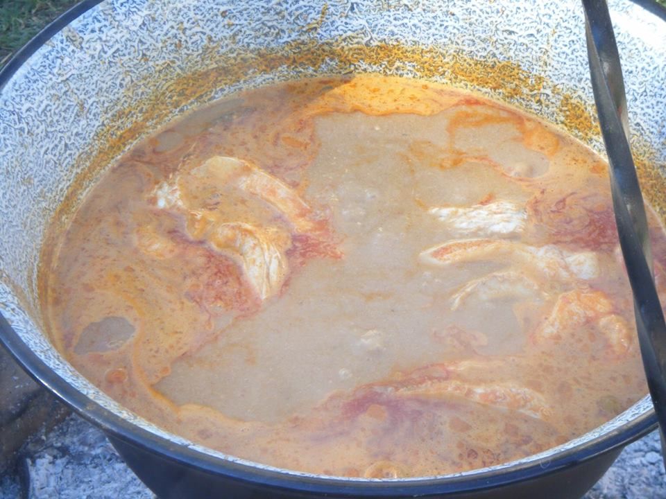 carpsoup17_zpsb9d734cb.jpg