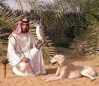 arabawin.jpg