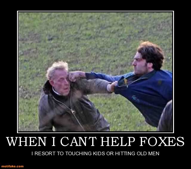when-i-cant-help-foxes-m-demotivational-posters-1331995961.jpg