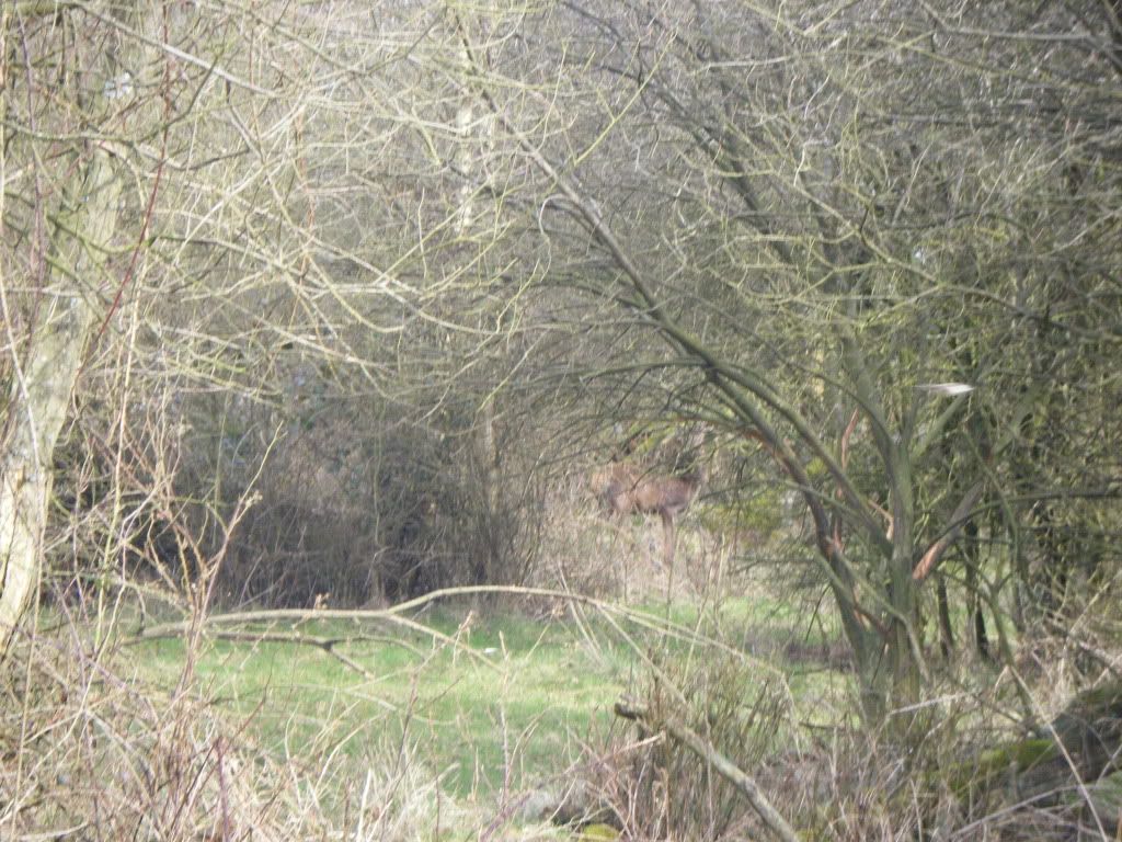 sundaystroll145.jpg