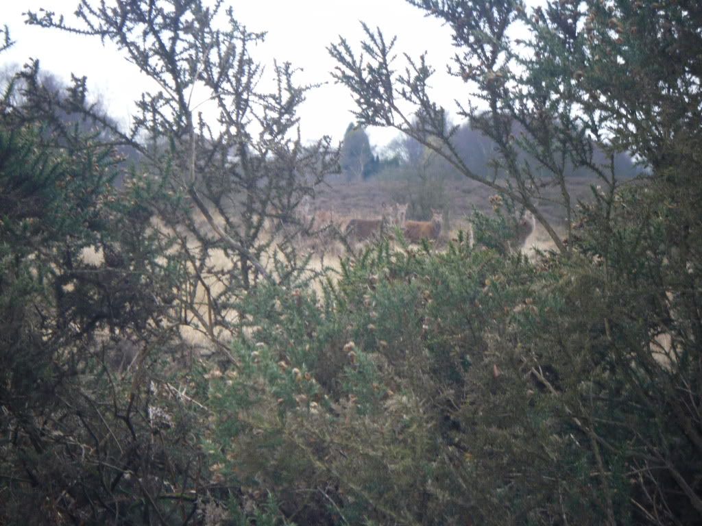 sundaystroll150.jpg