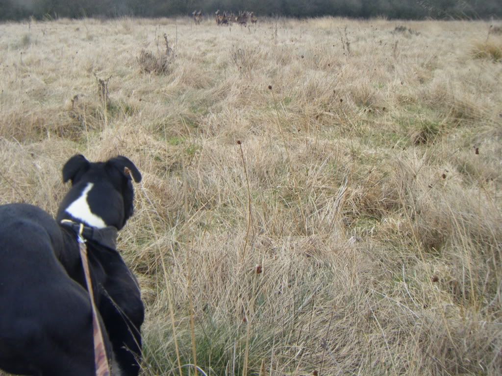 sundaystroll160.jpg