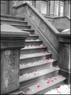 color splash petals on stairs Pictures, Images and Photos