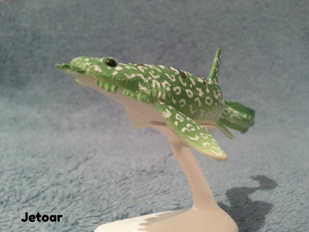 wobbegong shark toy