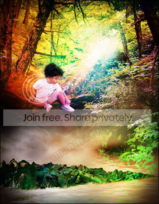 forest_2.jpg