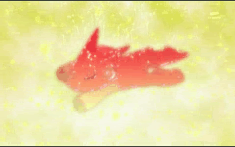 [PokeCommunity.com] Digimon Series 6